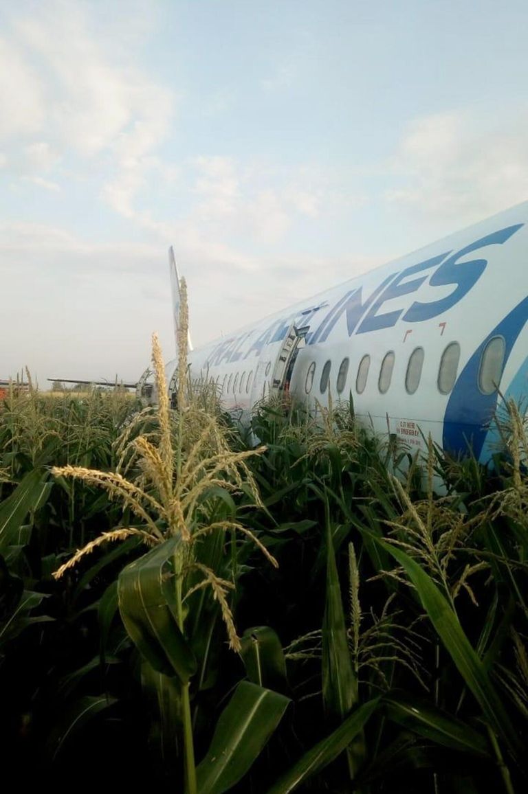 Самолет А-321 с пассажирами на борту совершил жесткую посадку в Подмосковье Самолет А-321 с пассажирами на борту совершил жесткую посадку в Подмосковье