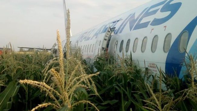 Самолет А-321 с пассажирами на борту совершил жесткую посадку в Подмосковье Самолет А-321 с пассажирами на борту совершил жесткую посадку в Подмосковье