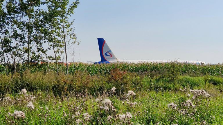 Самолет Airbus А-321 авиакомпании Уральские авиалинии после вынужденной посадки в Жуковском Самолет Airbus А-321 авиакомпании Уральские авиалинии после вынужденной посадки в Жуковском
