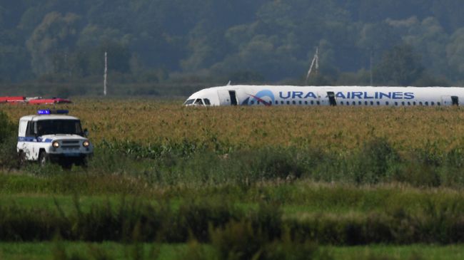 Самолет Airbus А-321 авиакомпании Уральские авиалинии после аварийной посадки в Жуковском Самолет Airbus А-321 авиакомпании Уральские авиалинии после аварийной посадки в Жуковском