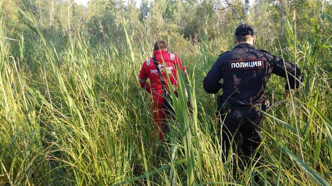 Поиски трехлетнего мальчика в Омской области Поиски трехлетнего мальчика в Омской области