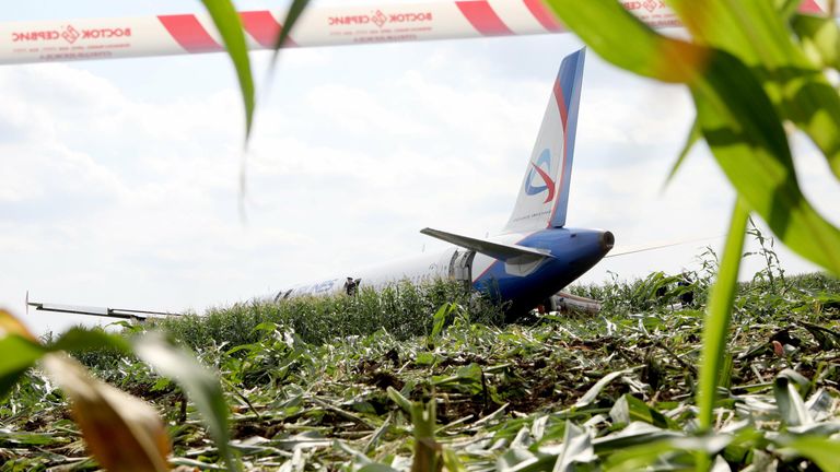 Последствия вынужденной посадки в Подмосковье лайнера Airbus А-321 авиакомпании Уральские авиалинии в результате попадания птиц в двигатели самолета Последствия вынужденной посадки в Подмосковье лайнера Airbus А-321 авиакомпании Уральские авиалинии в результате попадания птиц в двигатели самолета