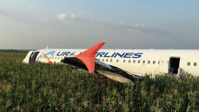 Самолет Airbus А-321 авиакомпании Уральские авиалинии после аварийной посадки в Жуковском Самолет Airbus А-321 авиакомпании Уральские авиалинии после аварийной посадки в Жуковском