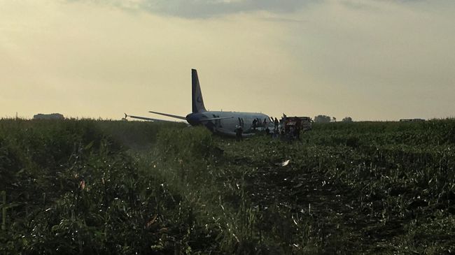 Самолет Airbus А-321 авиакомпании Уральские авиалинии после аварийной посадки в Жуковском Самолет Airbus А-321 авиакомпании Уральские авиалинии после аварийной посадки в Жуковском