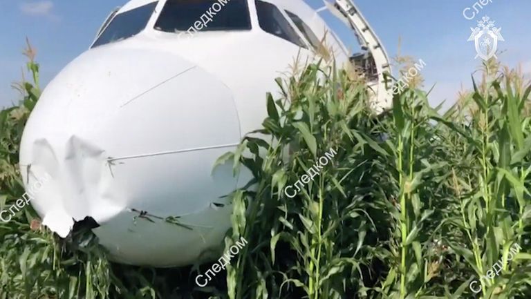 Самолет А-321 авиакомпании Уральские авиалинии, который совершил аварийную посадку в Подмосковье