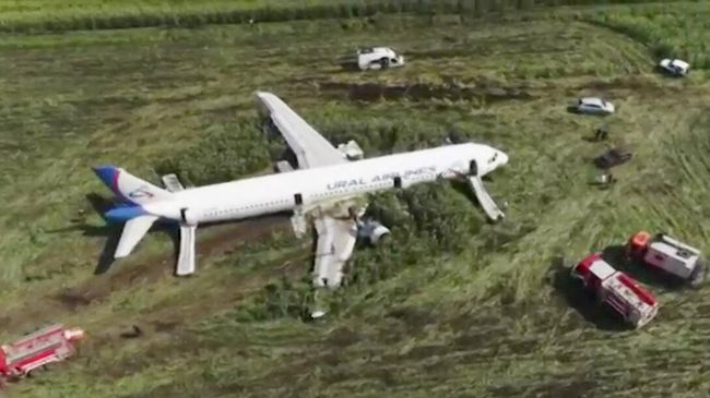 Самолет Airbus А-321 авиакомпании Уральские авиалинии после аварийной посадки в Жуковском Самолет Airbus А-321 авиакомпании Уральские авиалинии после аварийной посадки в Жуковском