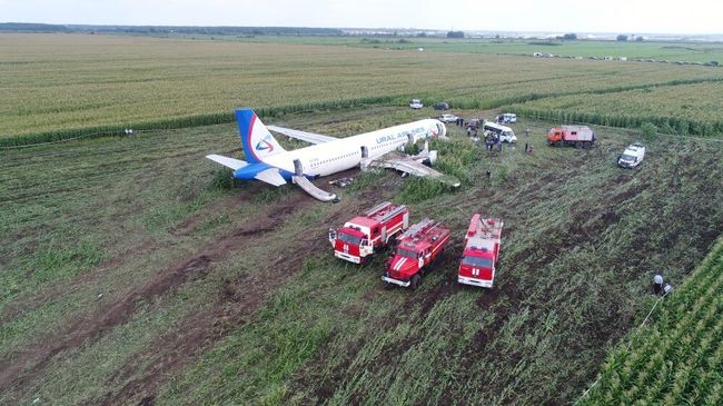 Самолет Airbus А-321 авиакомпании Уральские авиалинии после аварийной посадки в Жуковском Самолет Airbus А-321 авиакомпании Уральские авиалинии после аварийной посадки в Жуковском