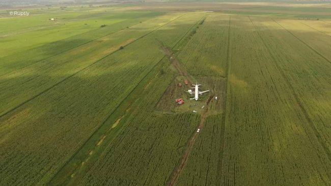 Самолет А-321 авиакомпании Уральские авиалинии с пассажирами на борту совершил аварийную посадку в Подмосковье Самолет А-321 авиакомпании Уральские авиалинии с пассажирами на борту совершил аварийную посадку в Подмосковье