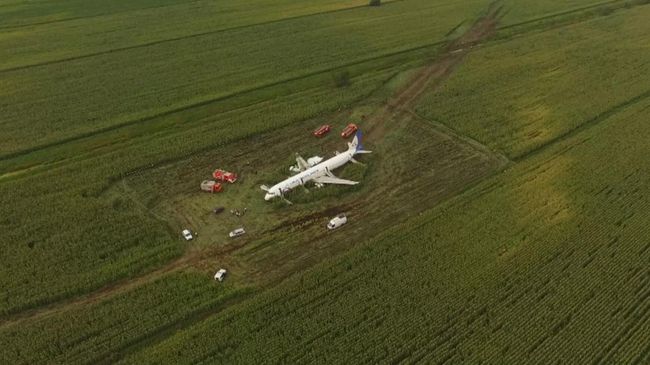 Самолет А-321 авиакомпании Уральские авиалинии с пассажирами на борту совершил аварийную посадку в Подмосковье Самолет А-321 авиакомпании Уральские авиалинии с пассажирами на борту совершил аварийную посадку в Подмосковье