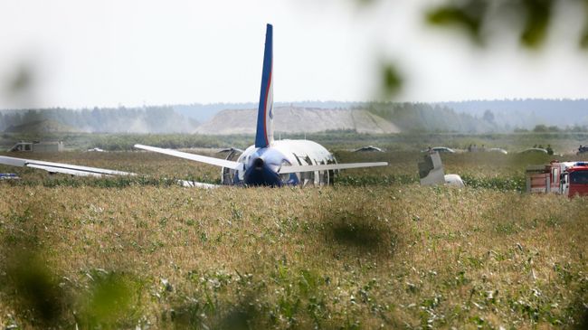 Самолет Airbus А-321 авиакомпании Уральские авиалинии после аварийной посадки в Жуковском Самолет Airbus А-321 авиакомпании Уральские авиалинии после аварийной посадки в Жуковском