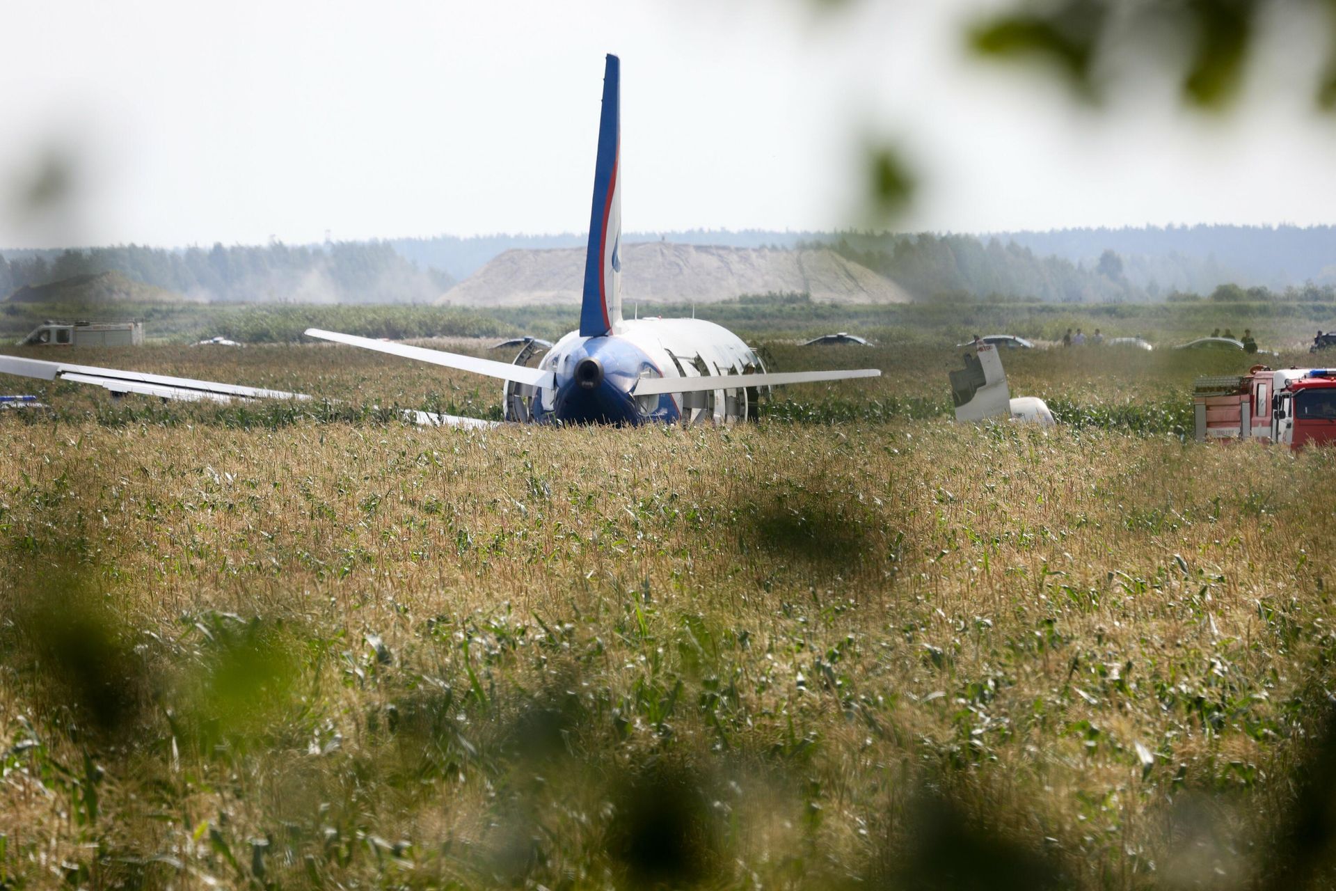Самолет Airbus А-321 авиакомпании Уральские авиалинии после аварийной посадки в Жуковском Самолет Airbus А-321 авиакомпании Уральские авиалинии после аварийной посадки в Жуковском - РИА Новости, 1920, 05.07.2024