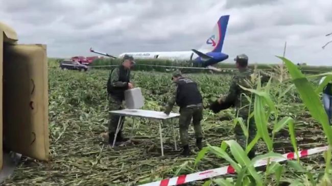 Сотрудники Следственного комитета России на месте жесткой посадки самолета Airbus А-321 авиакомпании Уральские авиалинии в Жуковском. Стоп-кадр видео Сотрудники Следственного комитета России на месте жесткой посадки самолета Airbus А-321 авиакомпании Уральские авиалинии в Жуковском. Стоп-кадр видео