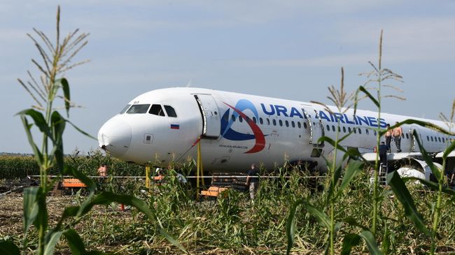 Самолет Airbus А321 авиакомпании Уральские авиалинии в кукурузном поле в районе деревни Рыбаки в Раменском районе Московской области