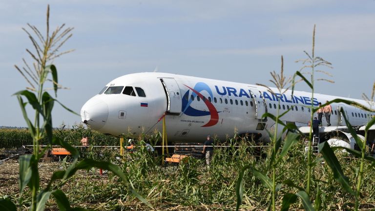 Самолет Airbus А321 авиакомпании Уральские авиалинии в кукурузном поле в районе деревни Рыбаки в Раменском районе Московской области