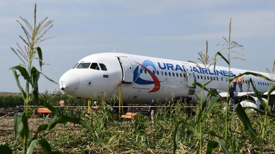 Самолет Airbus А321 авиакомпании Уральские авиалинии на кукурузном поле в районе деревни Рыбаки в Раменском районе Московской области Самолет Airbus А321 авиакомпании Уральские авиалинии на кукурузном поле в районе деревни Рыбаки в Раменском районе Московской области
