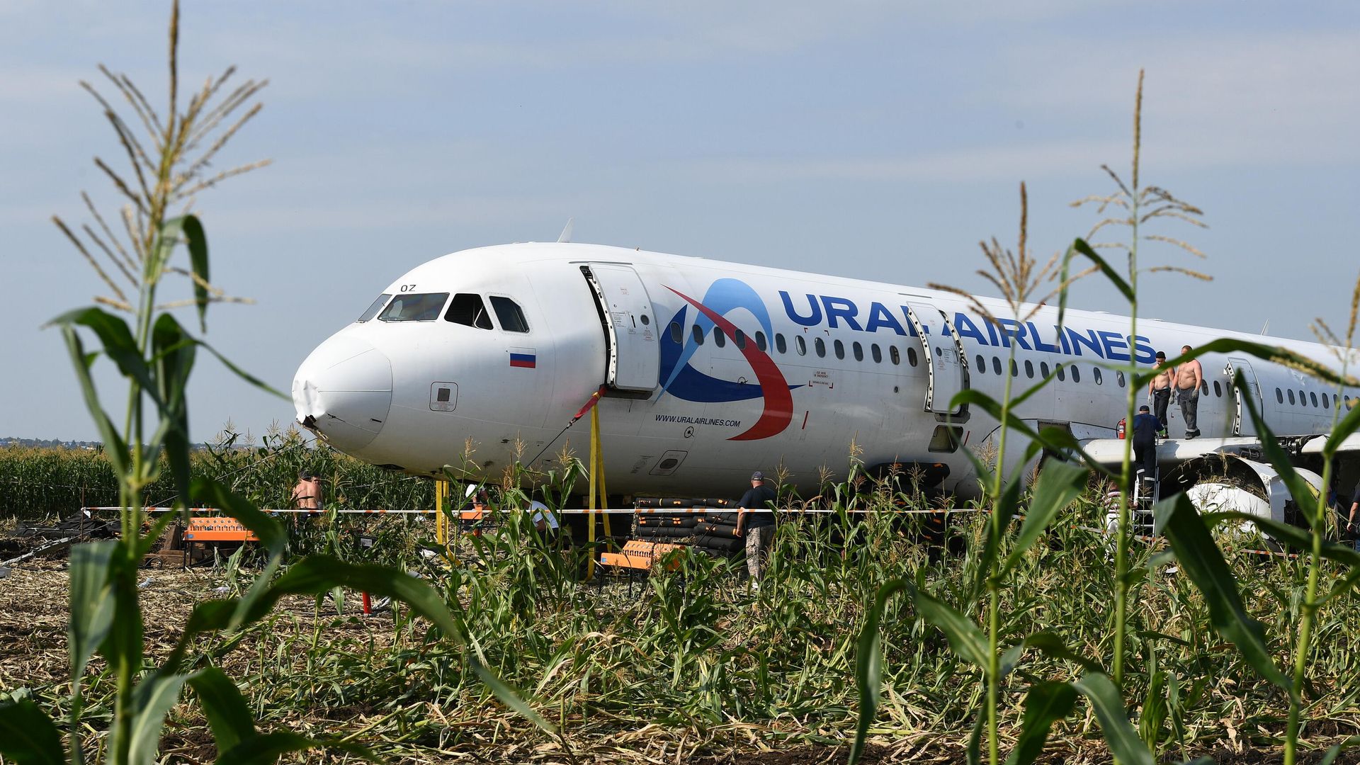 Самолет Airbus А321 авиакомпании Уральские авиалинии в кукурузном поле в районе деревни Рыбаки в Раменском районе Московской области Самолет Airbus А321 авиакомпании Уральские авиалинии в кукурузном поле в районе деревни Рыбаки в Раменском районе Московской области - РИА Новости, 1920, 07.11.2025