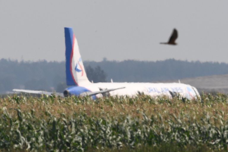 Самолет Airbus А321 авиакомпании Уральские авиалинии в кукурузном поле в районе деревни Рыбаки в Раменском районе Московской области