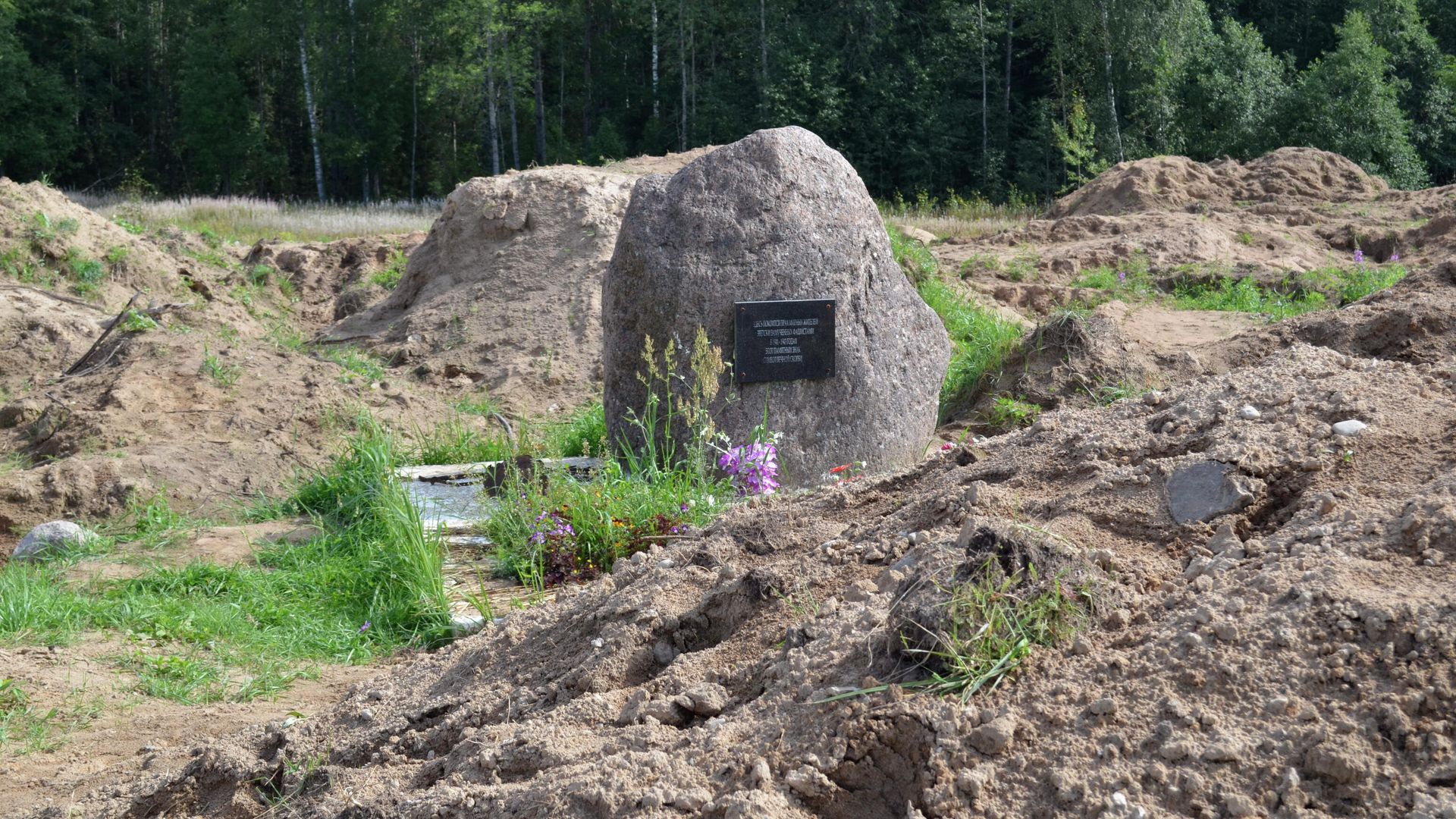 Место раскопок в районе деревни Жестяная Горка, где следователи обнаружили около 500 тел жертв латвийских карателей Место раскопок в районе деревни Жестяная Горка, где следователи обнаружили около 500 тел жертв латвийских карателей - РИА Новости, 1920, 27.10.2020