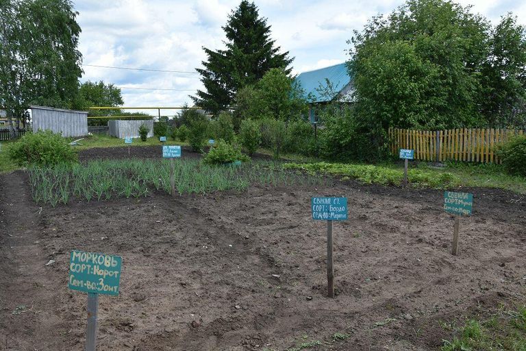 Село Чулпаново Нурлатского района Республики Татарстан