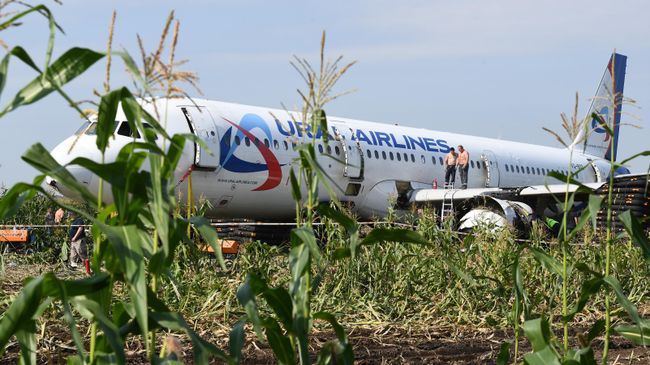 Самолет Airbus А321 авиакомпании Уральские авиалинии в кукурузном поле в районе деревни Рыбаки в Раменском районе Московской области