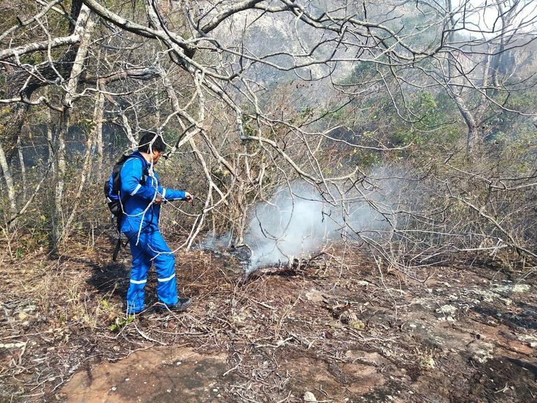 Президент Боливии Эво Моралес принимает участие в тушении природных пожаров в лесу региона Чикитания