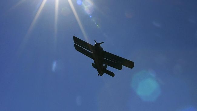 Самолет Ан-2 Самолет Ан-2