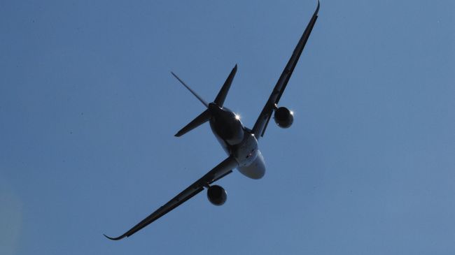 Cамолет Airbuы Cамолет Airbuы