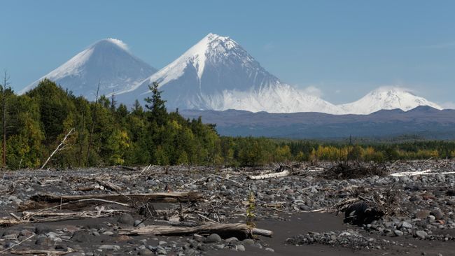 Вид на вулканы Ключевской, Камень и Безымянный с русла реки Студеной на Камчатке Вид на вулканы Ключевской, Камень и Безымянный с русла реки Студеной на Камчатке