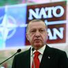 Президент Турции Реджеп Тайип Эрдоган выступает на заседании НАТО в Анкаре Президент Турции Реджеп Тайип Эрдоган выступает на заседании НАТО в Анкаре