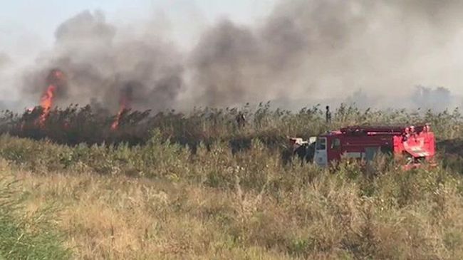 В Ростовской области горит сухостой В Ростовской области горит сухостой