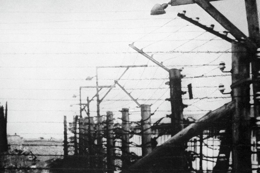 Мемориал жертвам фашизма на месте бывшего концентрационного лагеря Бухенвальд. Лагерная ограда из колючей проволоки с пропущенным через нее электрическим током Мемориал жертвам фашизма на месте бывшего концентрационного лагеря Бухенвальд. Лагерная ограда из колючей проволоки с пропущенным через нее электрическим током