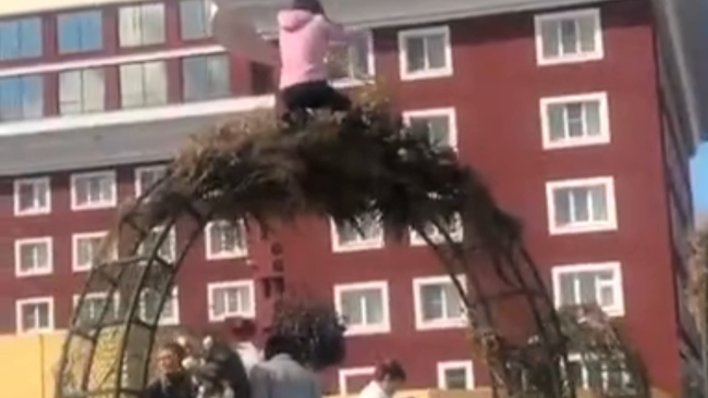 В Ставрополе разгромили арт-объекты, установленные на День города В Ставрополе разгромили арт-объекты, установленные на День города