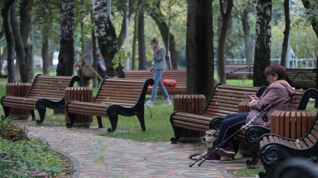 Итоги благоустройства парковых зон Москвы