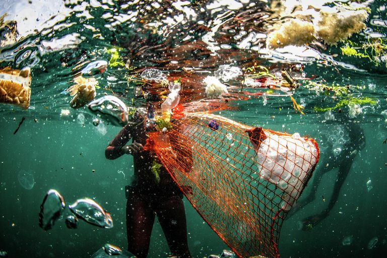 Sebnem Coskun. Работа финалиста конкурса Environmental Photographer of the Year 2019 Sebnem Coskun. Работа финалиста конкурса Environmental Photographer of the Year 2019