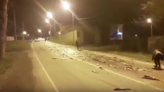 Фура с лососем растеряла рыбу по дороге на Сахалине Фура с лососем растеряла рыбу по дороге на Сахалине