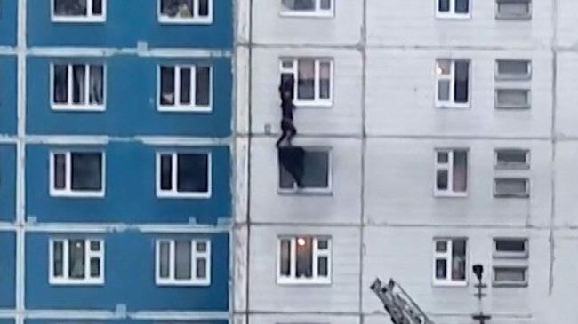 Вытащил из огня: мужчина в Нижневартовске спас жизнь незнакомке Вытащил из огня: мужчина в Нижневартовске спас жизнь незнакомке