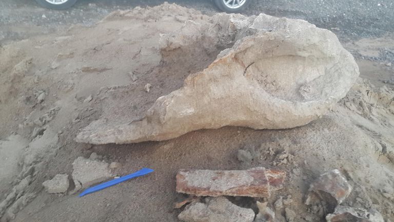 В городе Петровск-Забайкальский около Дворца культуры и спорта в песке, привезенном для благоустройства, пятилетний мальчик выкопал кости древнего носорога
В городе Петровск-Забайкальский около Дворца культуры и спорта в песке, привезенном для благоустройства, пятилетний мальчик выкопал кости древнего носорога