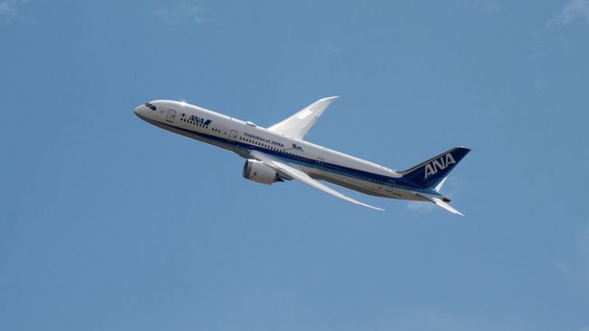 Самолет Boeing 787 японской авиакомпании ANA Самолет Boeing 787 японской авиакомпании ANA