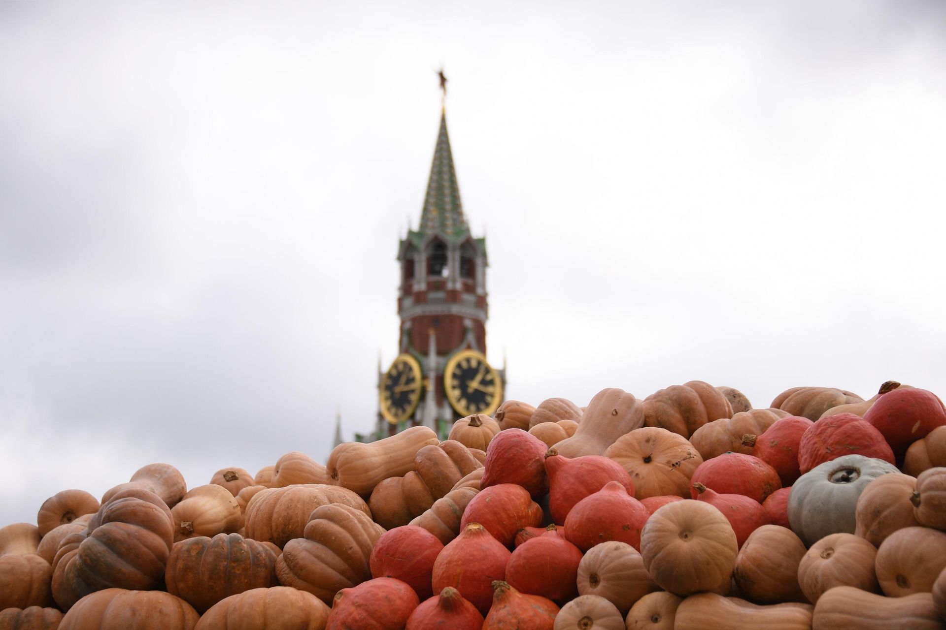 Тыквы на площадке фестиваля Золотая осень на Красной площади Тыквы на площадке фестиваля Золотая осень на Красной площади - РИА Новости, 1920, 19.09.2022