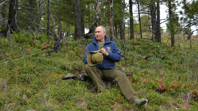 Президент РФ Владимир Путин во время прогулки в тайге Президент РФ Владимир Путин во время прогулки в тайге