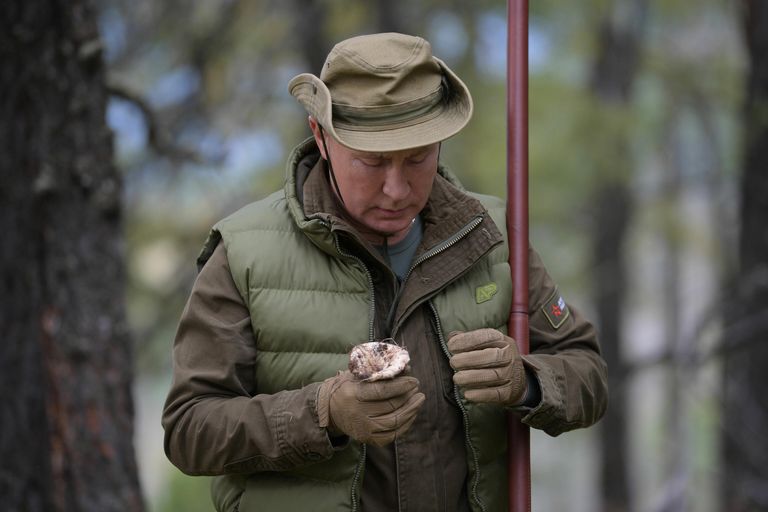 Президент РФ Владимир Путин во время прогулки в тайге Президент РФ Владимир Путин во время прогулки в тайге