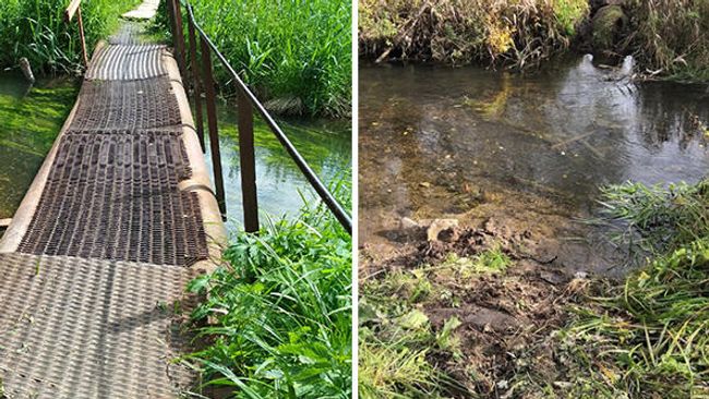 Кража моста в Деденево Кража моста в Деденево