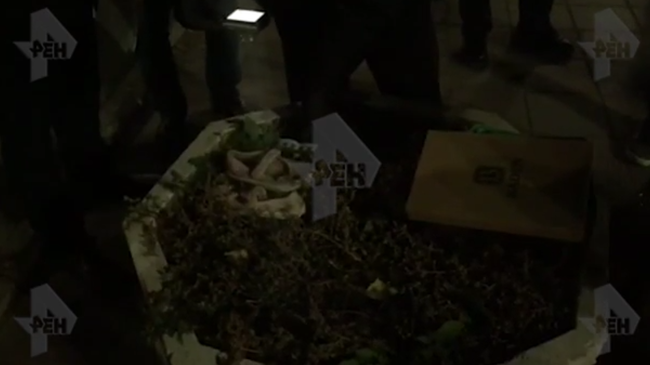 Опубликовано видео с места поисков вещей пропавшей в Саратове девочки Опубликовано видео с места поисков вещей пропавшей в Саратове девочки