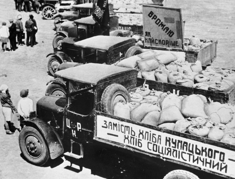 Грузовики с зерном, собранным в колхозе Каховка