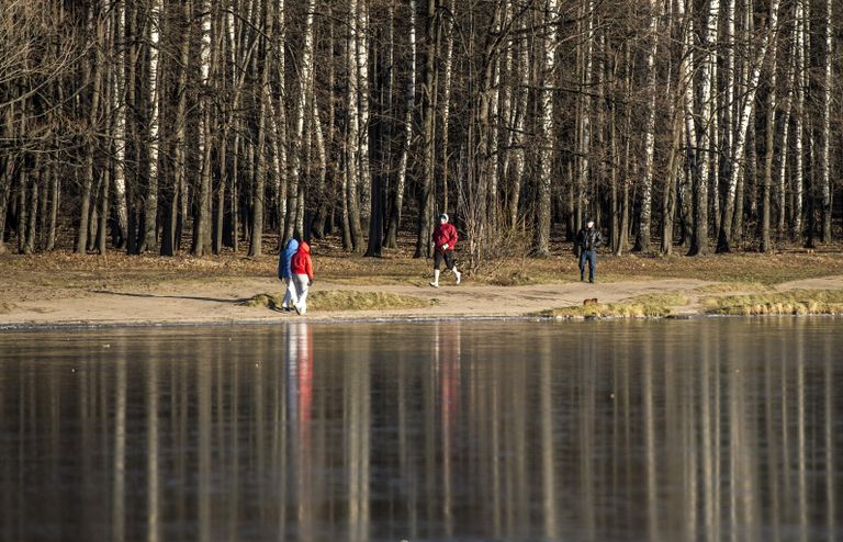 В парке Кузьминки в Москве В парке Кузьминки в Москве