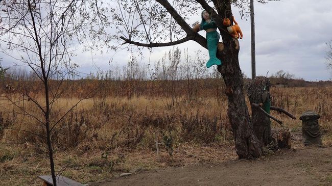 Аллея в селе Новом Макаровского района Сахалинской области Аллея в селе Новом Макаровского района Сахалинской области