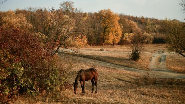 Осень в Крыму Осень в Крыму