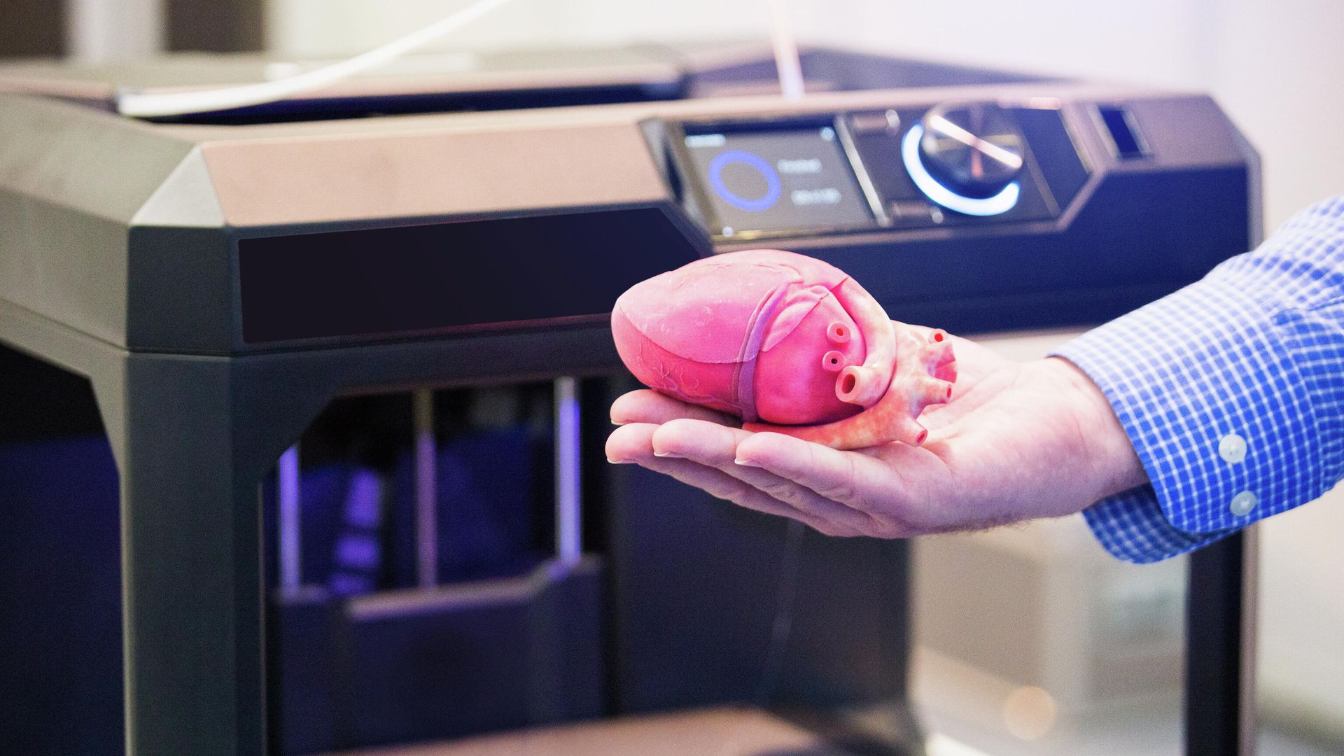 Сердце, напечатанное на 3D-принтере Сердце, напечатанное на 3D-принтере - РИА Новости, 1920, 23.06.2022
