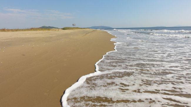 Пляж Пляж