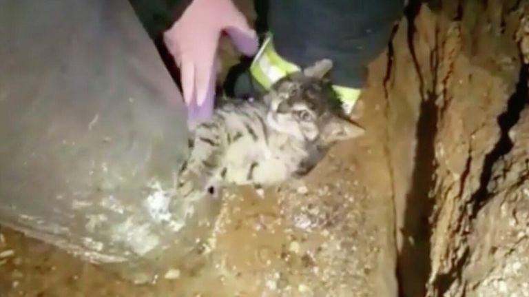 Сотрудники добровольной организации СпасРезерв во время спасения котенка из отверстия столба Сотрудники добровольной организации СпасРезерв во время спасения котенка из отверстия столба